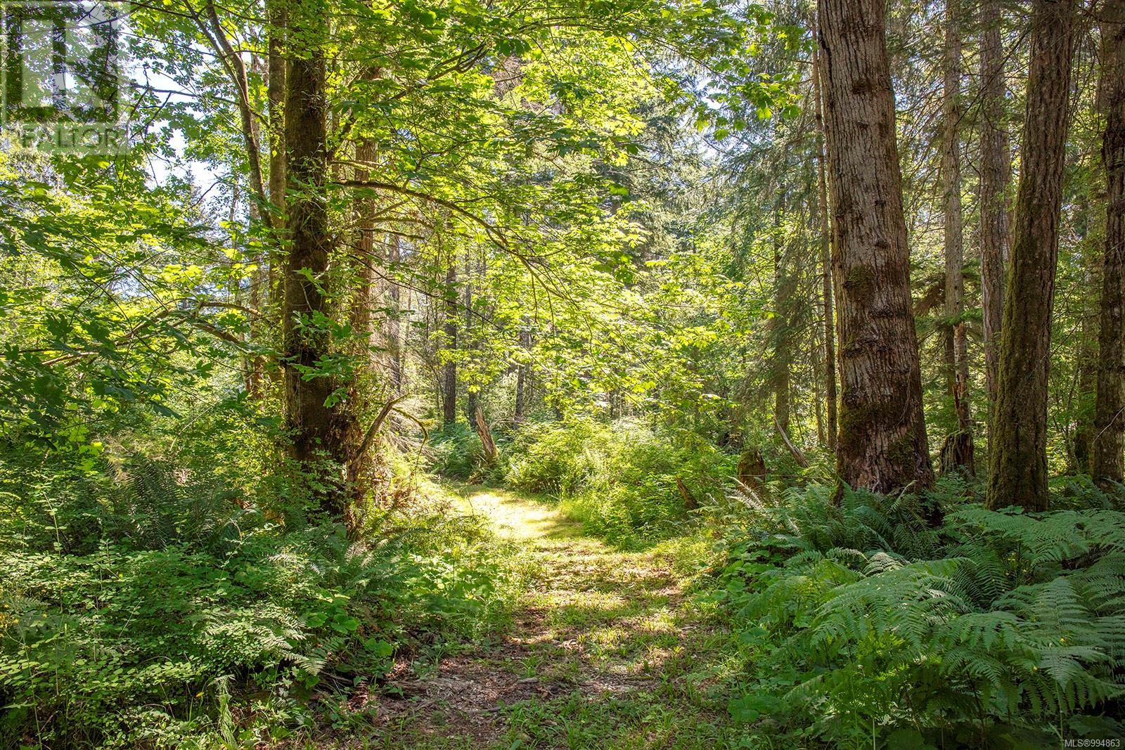 Lot 2 Little River Rd, Comox