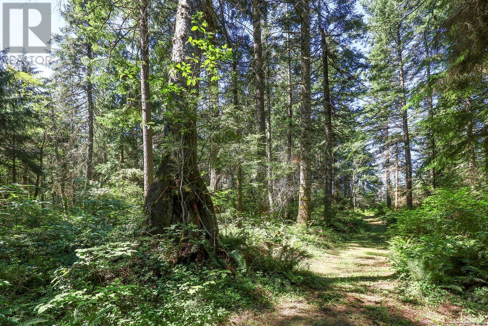 Lot 2 Little River Rd, Comox