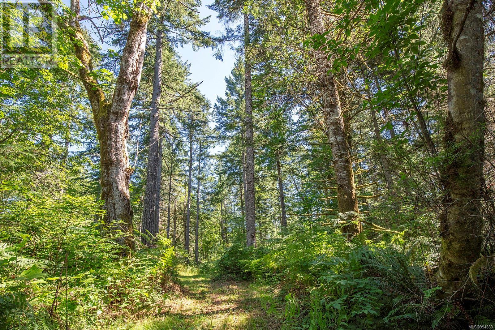 Lot 2 Little River Rd, Comox