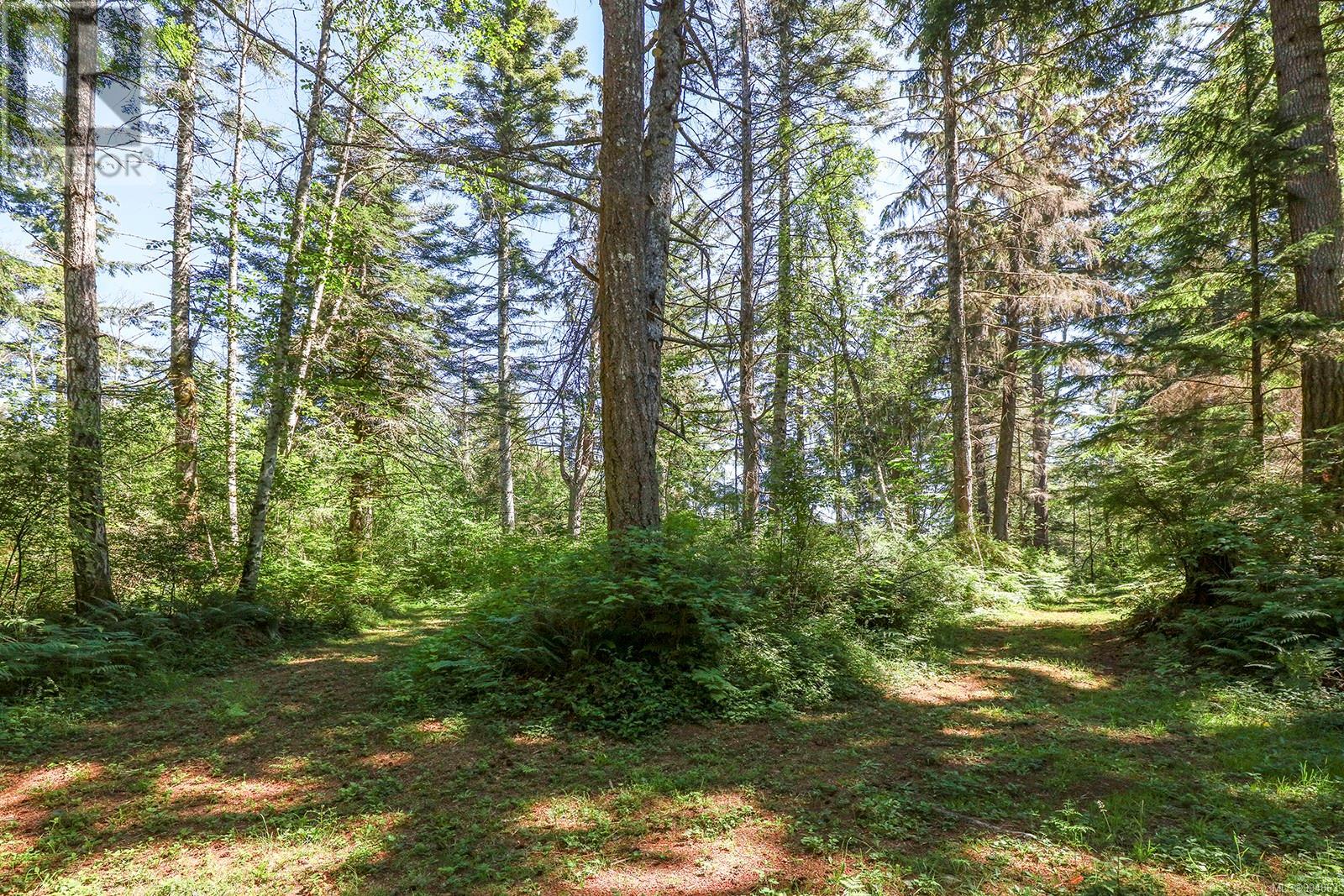 Lot 2 Little River Rd, Comox