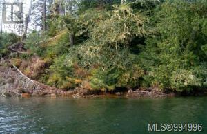 447 Bamfield Inlet, Bamfield