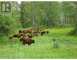 Dl5277 Day Road, Horsefly, BC V0L1L0 Photo 36