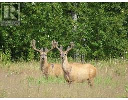 Dl5277 Day Road, Horsefly, BC V0L1L0 Photo 28
