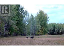 Dl5277 Day Road, Horsefly, BC V0L1L0 Photo 14