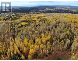 Dl5277 Day Road, Horsefly, BC V0L1L0 Photo 17