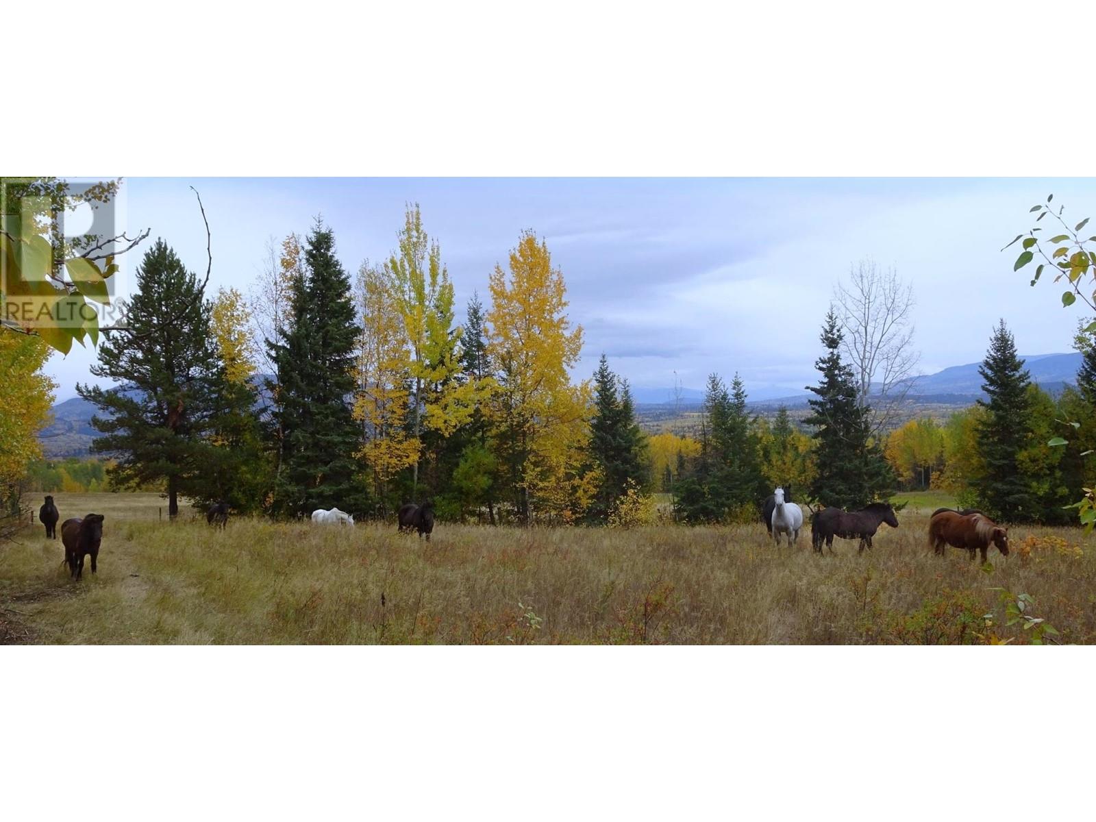 DL5277 DAY ROAD, Horsefly