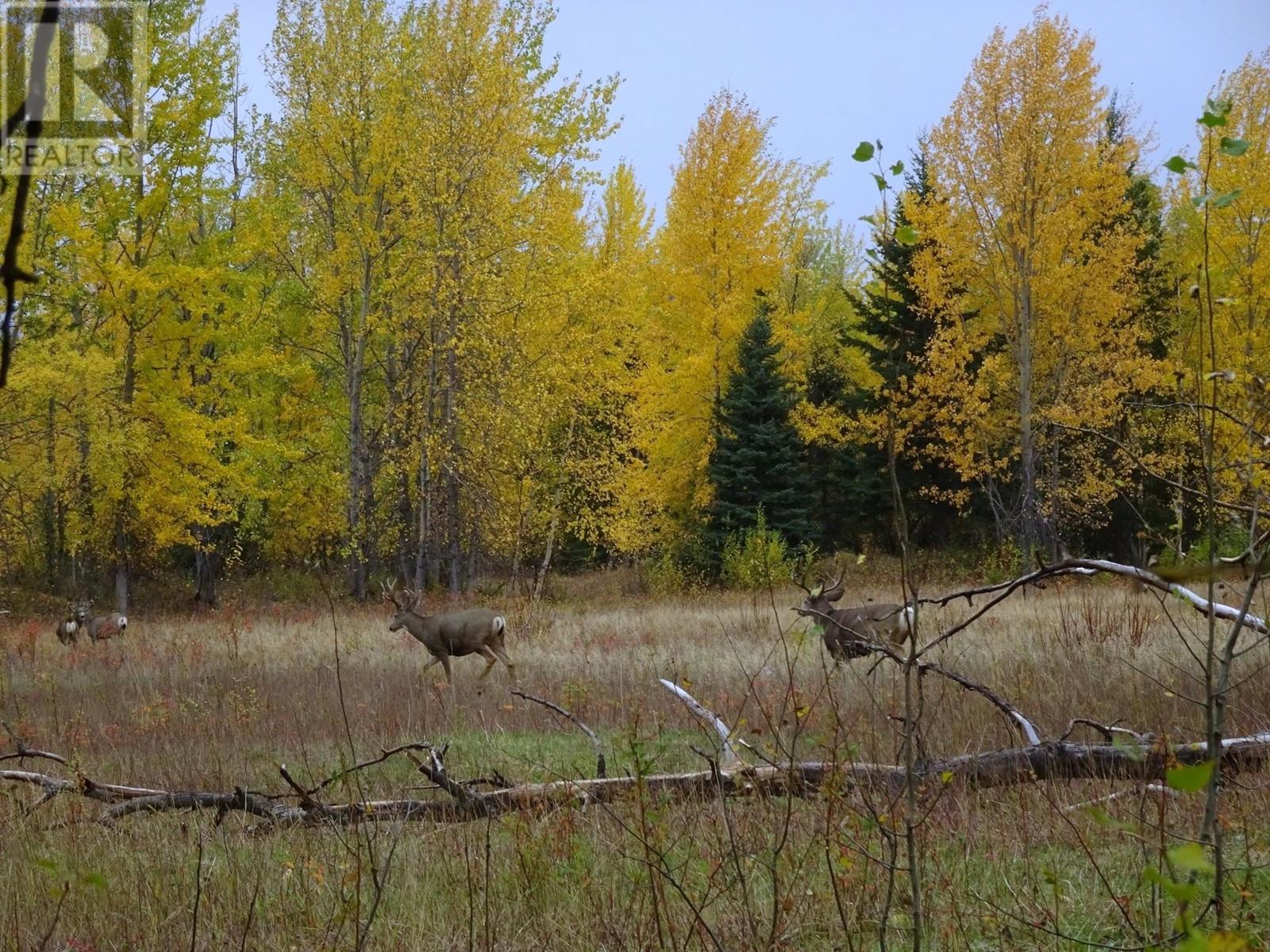 DL5277 DAY ROAD, Horsefly