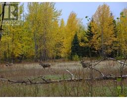Dl5277 Day Road, Horsefly, BC V0L1L0 Photo 32