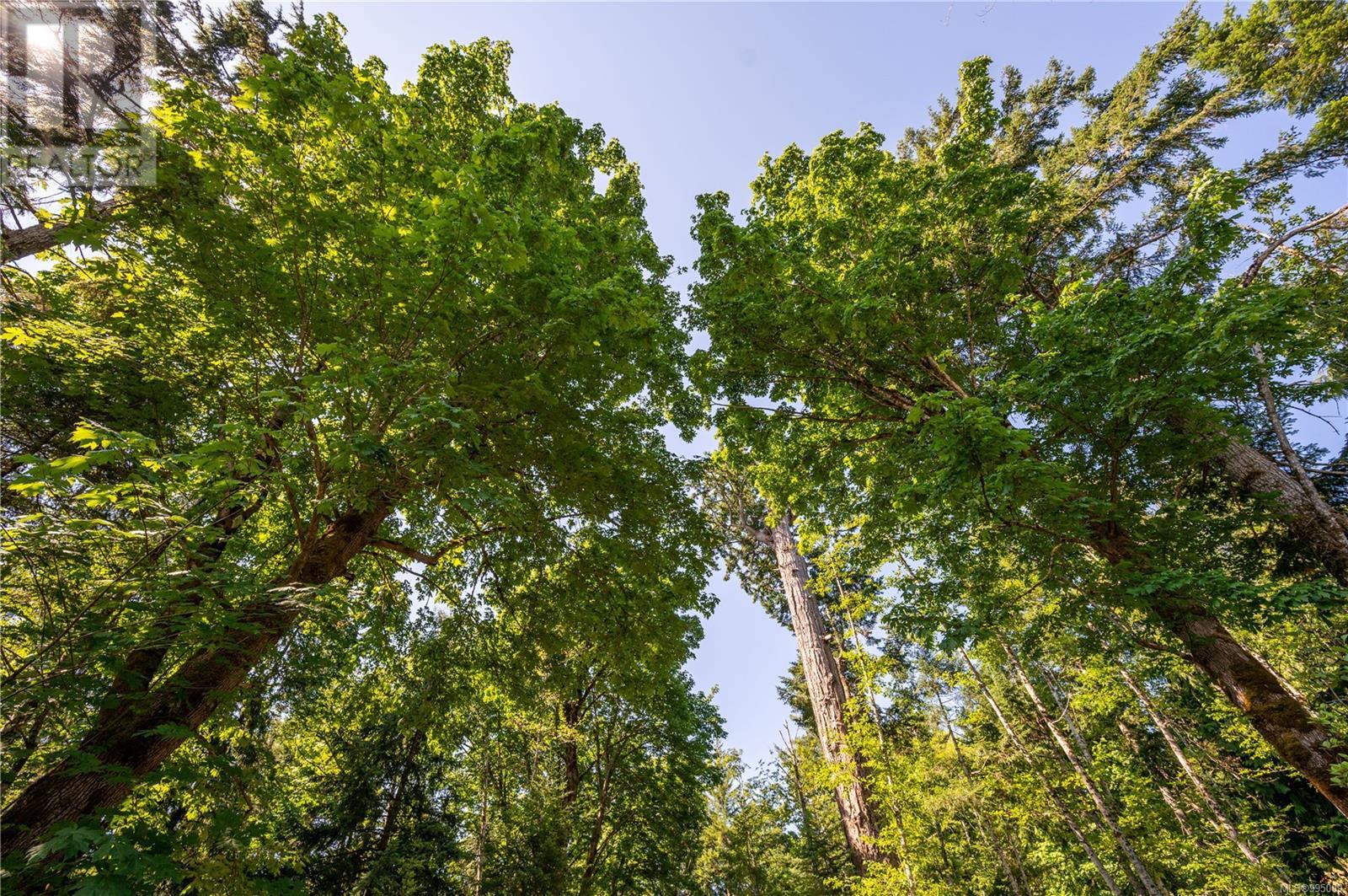 926 Fern Hill Lane, Quadra Island