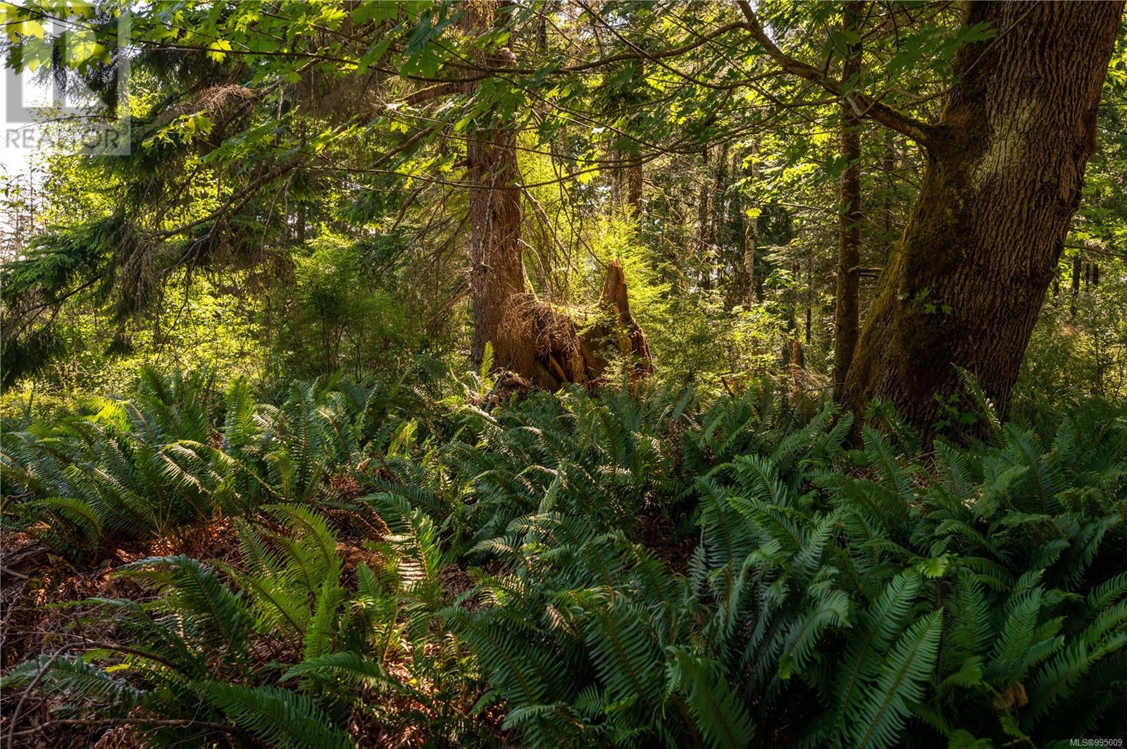 926 Fern Hill Lane, Quadra Island