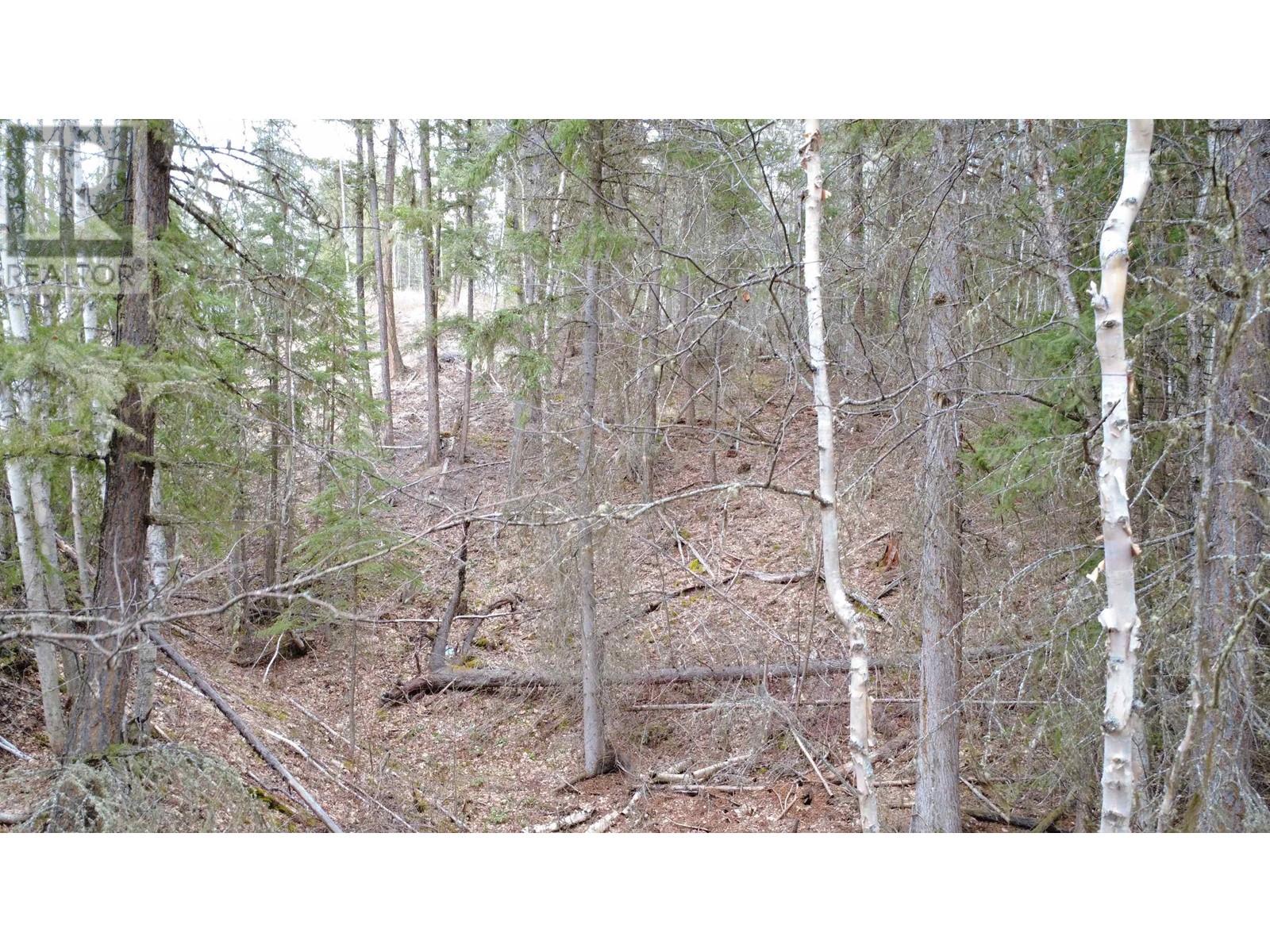 LOT 12 SUMMIT ROAD, 100 Mile House