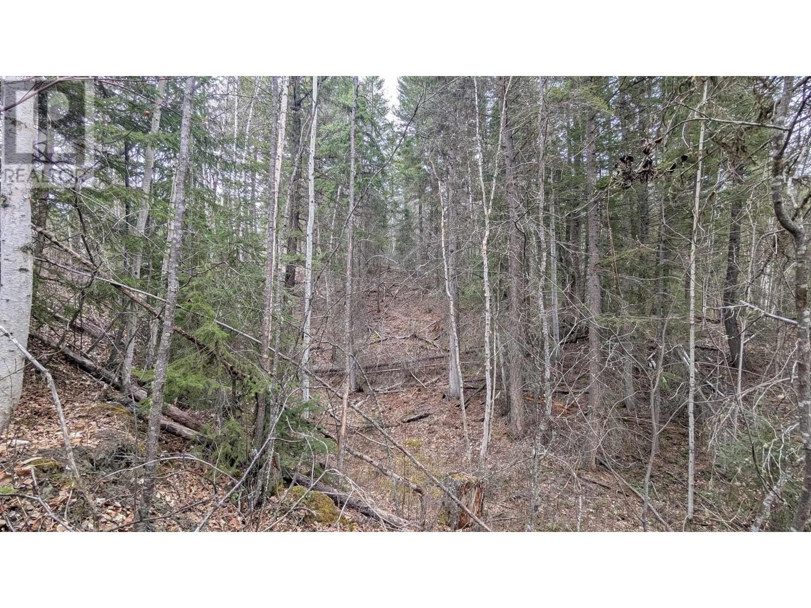 LOT 12 SUMMIT ROAD, 100 Mile House