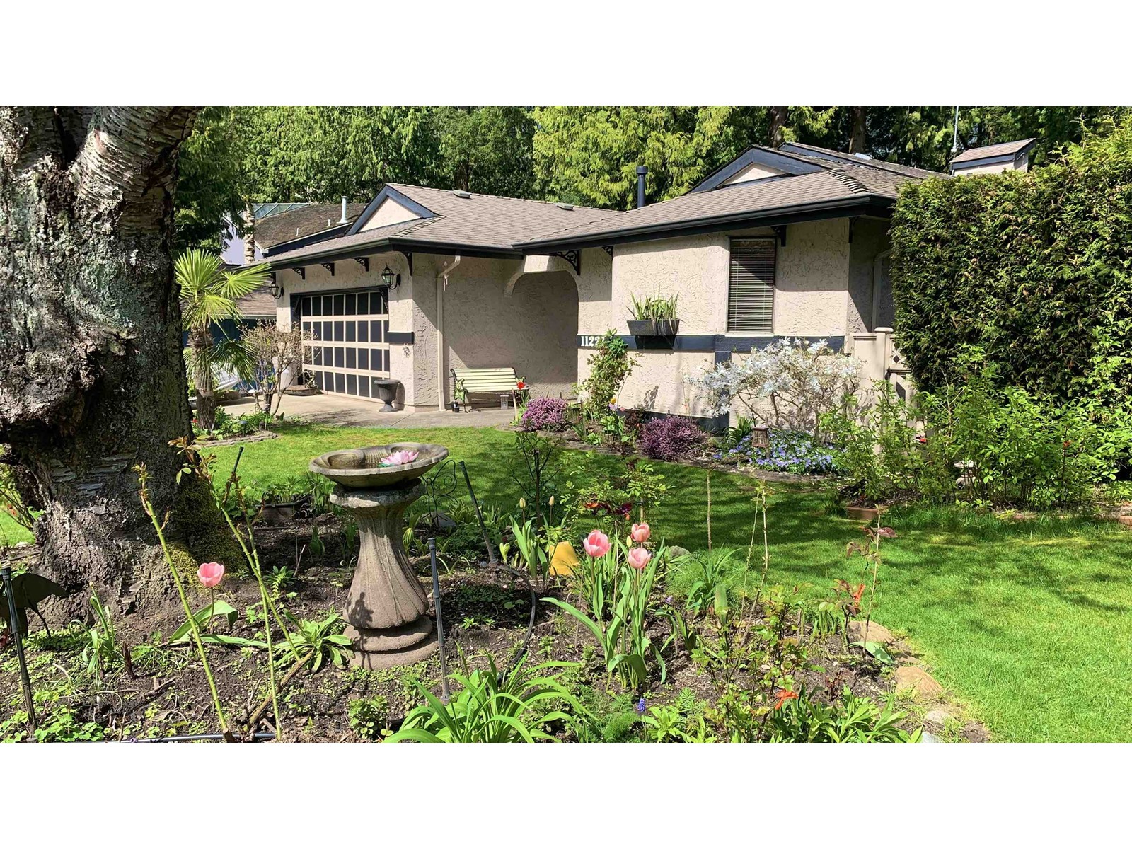 11221 CANYON CRESCENT, Delta