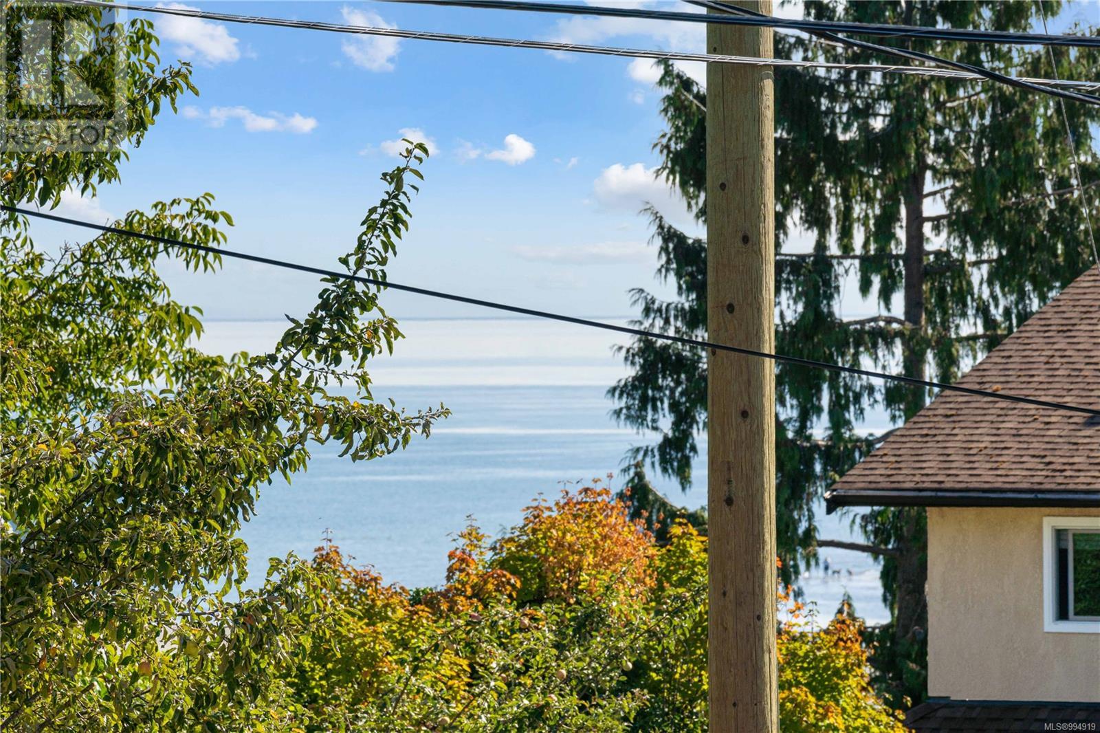 283 Dogwood St, Parksville real estate listing 994919