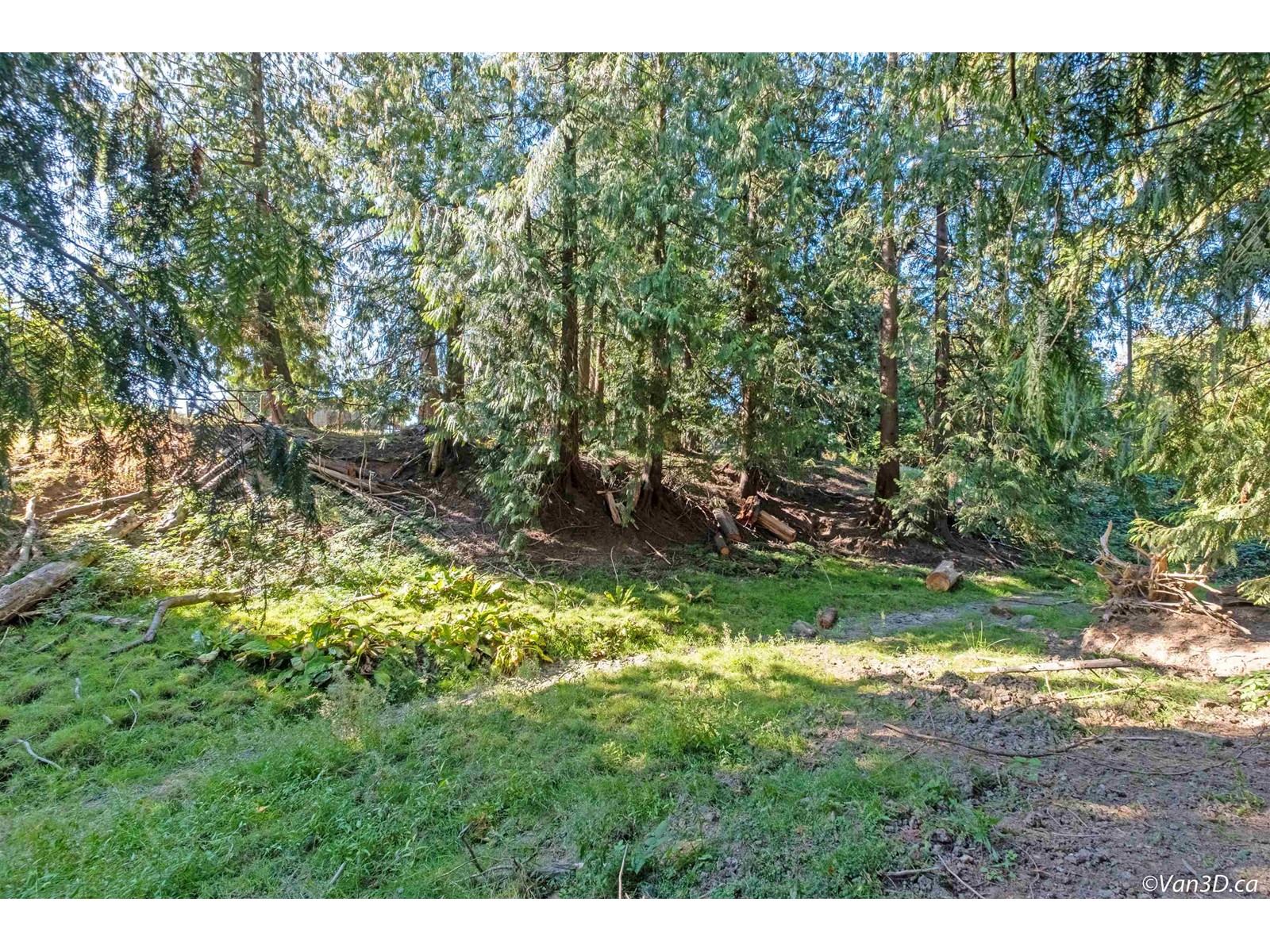 Photo 14 of 28762 Townshipline Road, Abbotsford BC