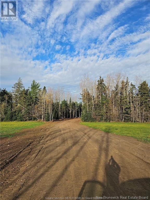 Photo 10 of Lot 23 15 De La Paix, Saintemariedekent NB