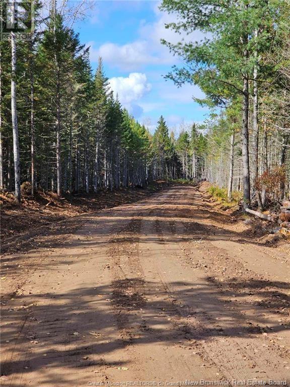 Photo 12 of Lot 23 15 De La Paix, Saintemariedekent NB