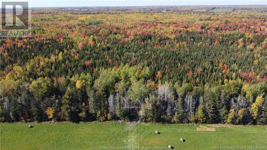 Photo 3 of Lot 23 15 De La Paix, Saintemariedekent NB