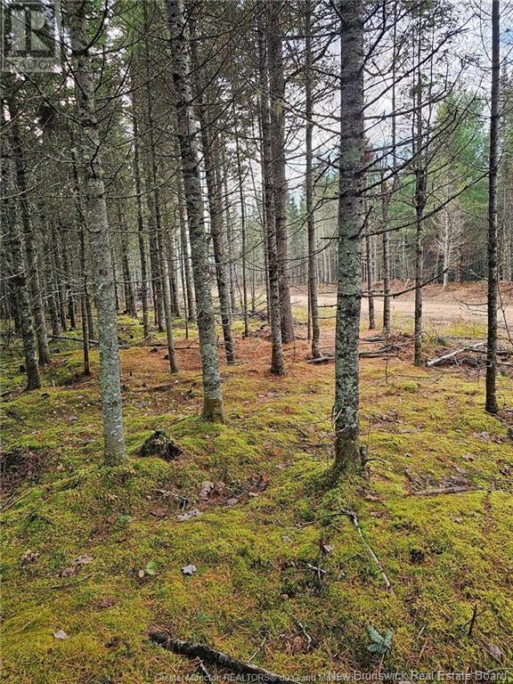 Photo 8 of Lot 23 15 De La Paix, Saintemariedekent NB