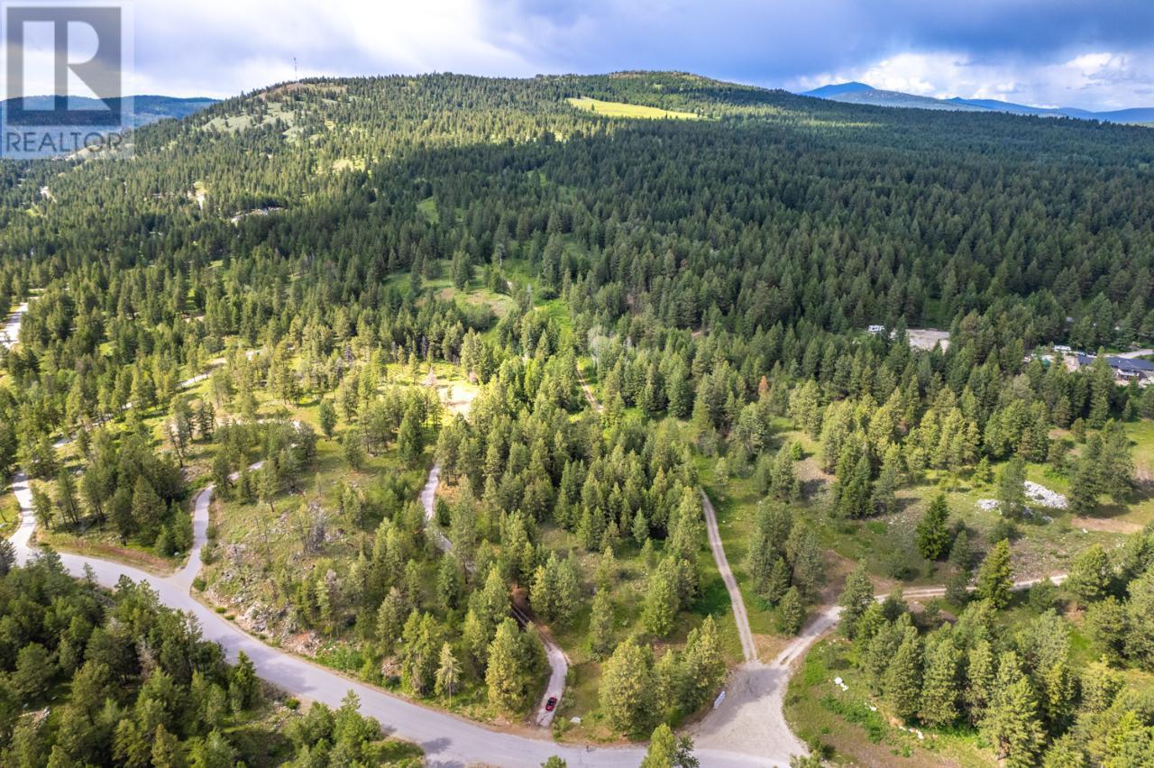  125 SASQUATCH Trail, Osoyoos