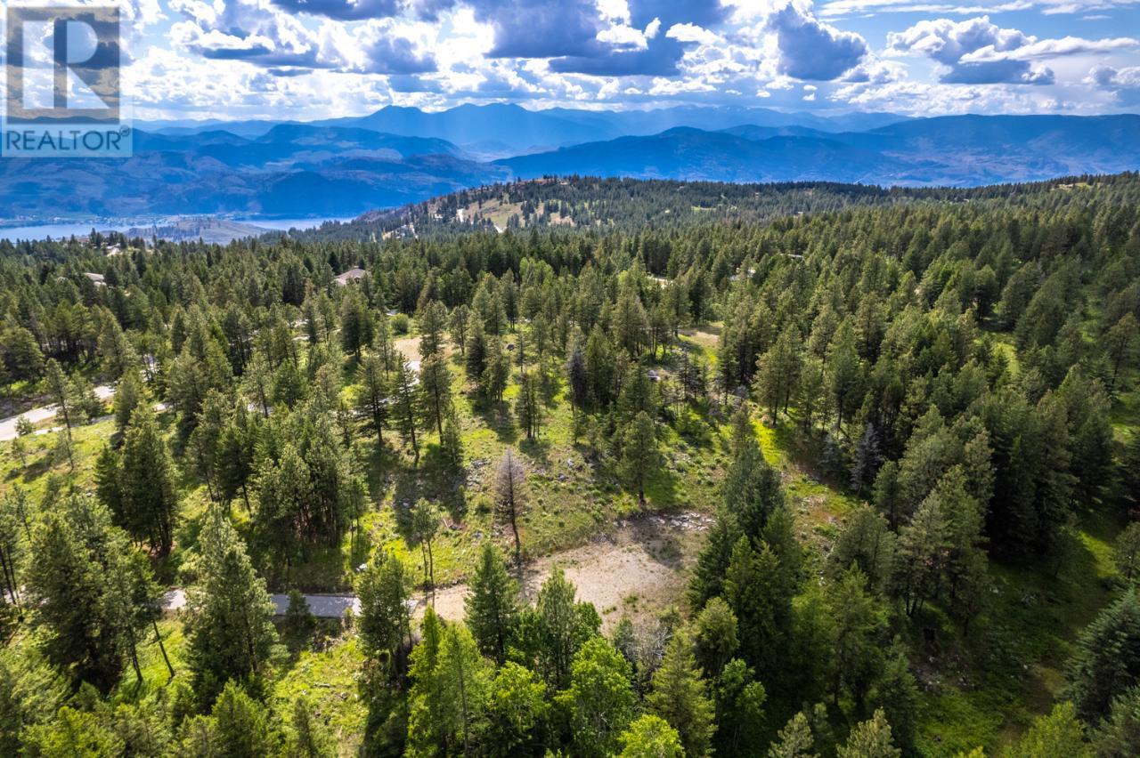  125 SASQUATCH Trail, Osoyoos