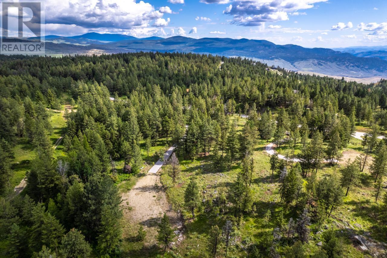  125 SASQUATCH Trail, Osoyoos