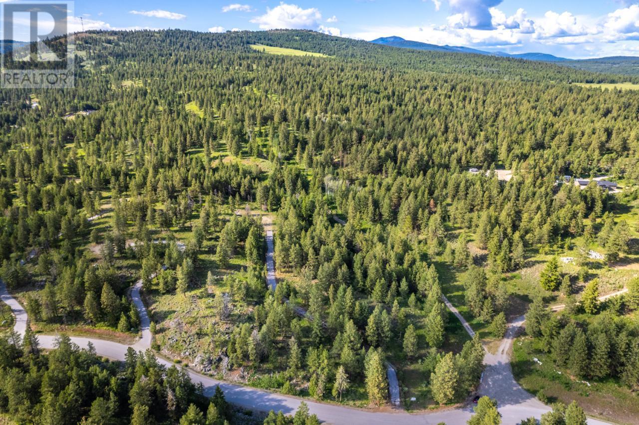  125 SASQUATCH Trail, Osoyoos