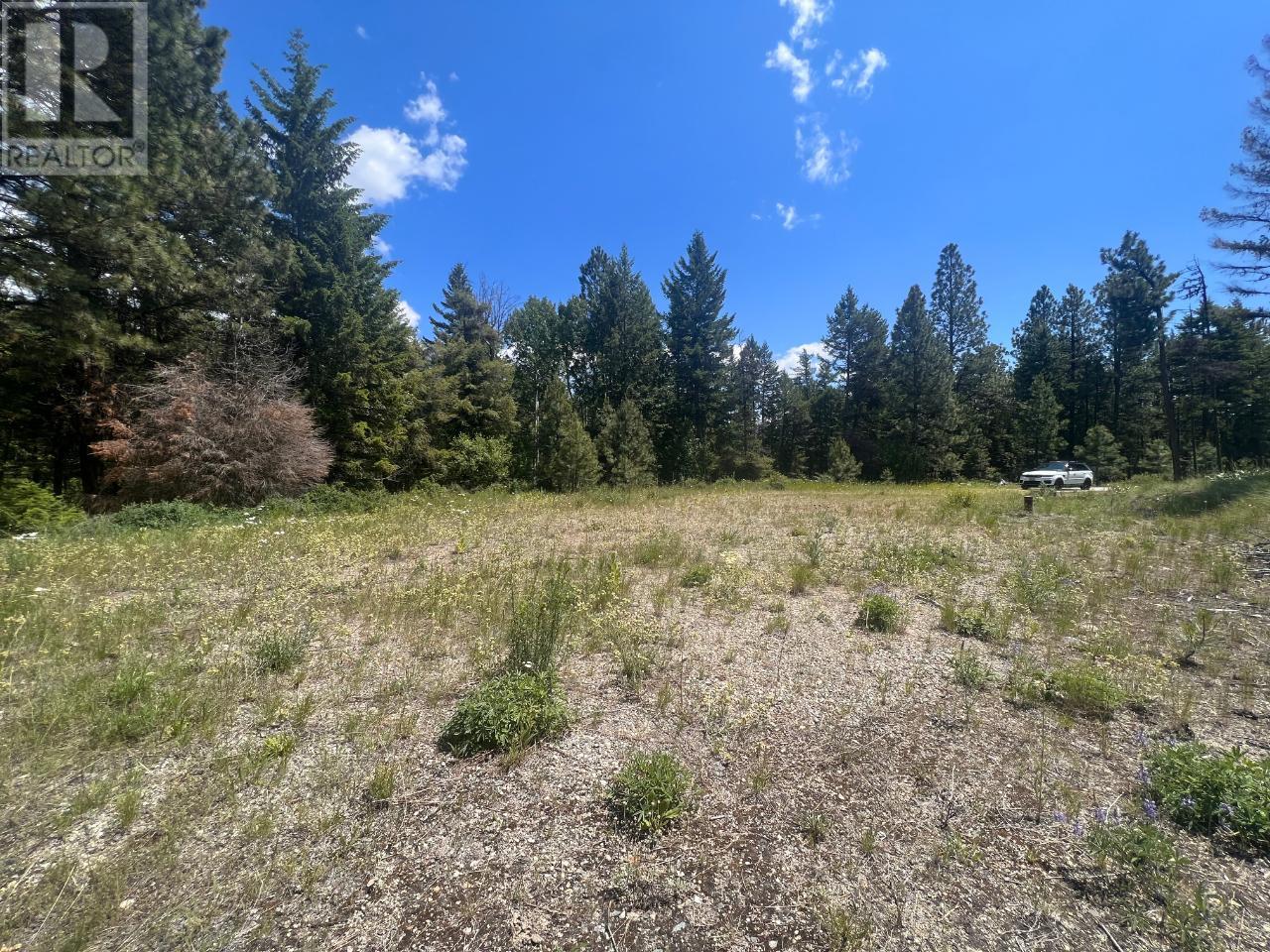  125 SASQUATCH Trail, Osoyoos