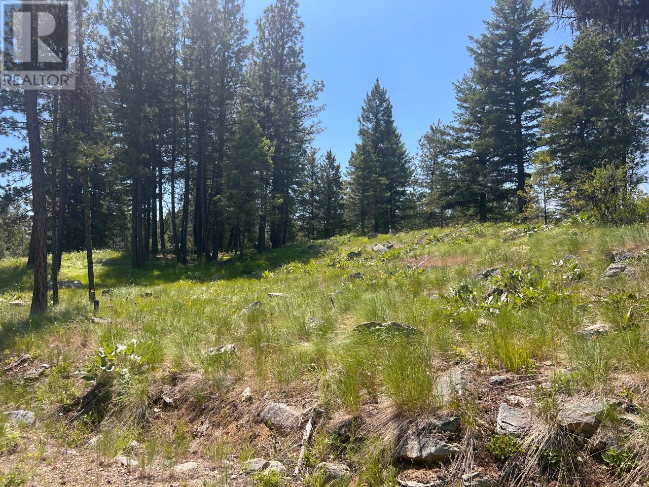  125 SASQUATCH Trail, Osoyoos