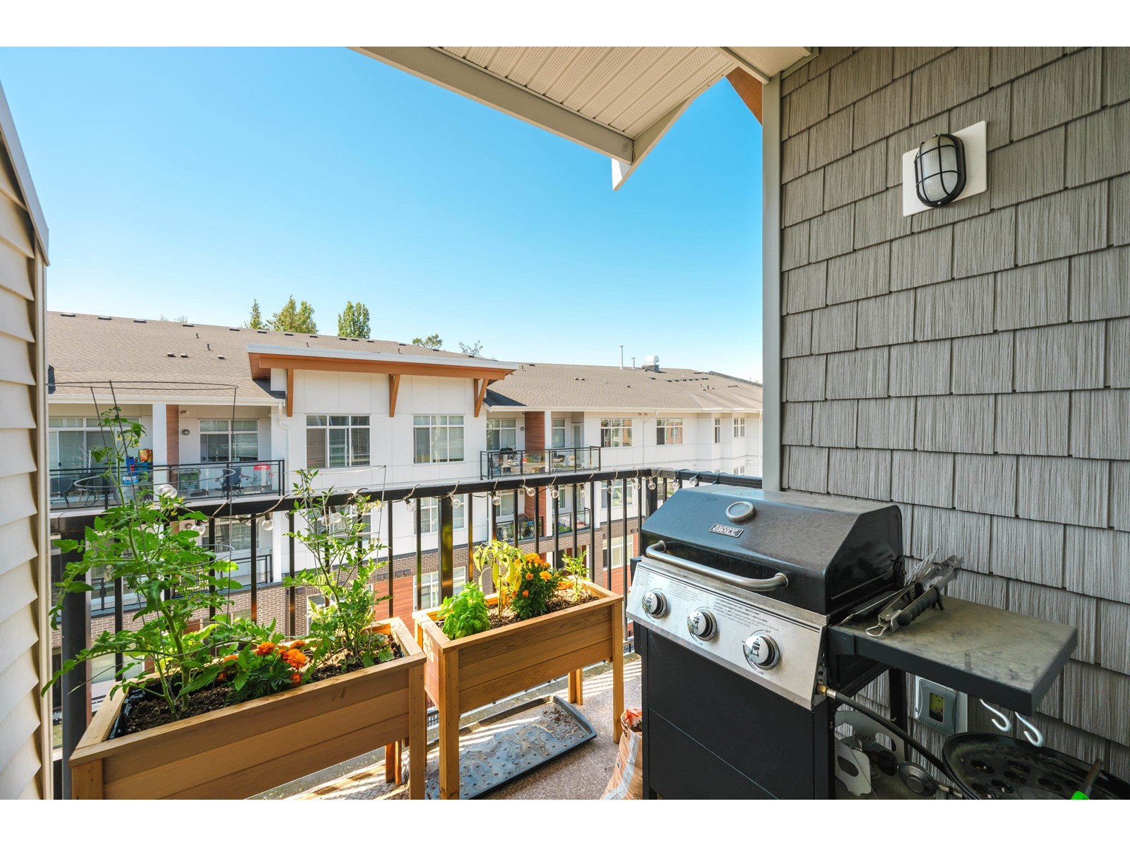 Photo 21 of 411 19940 Brydon Crescent, Langley BC