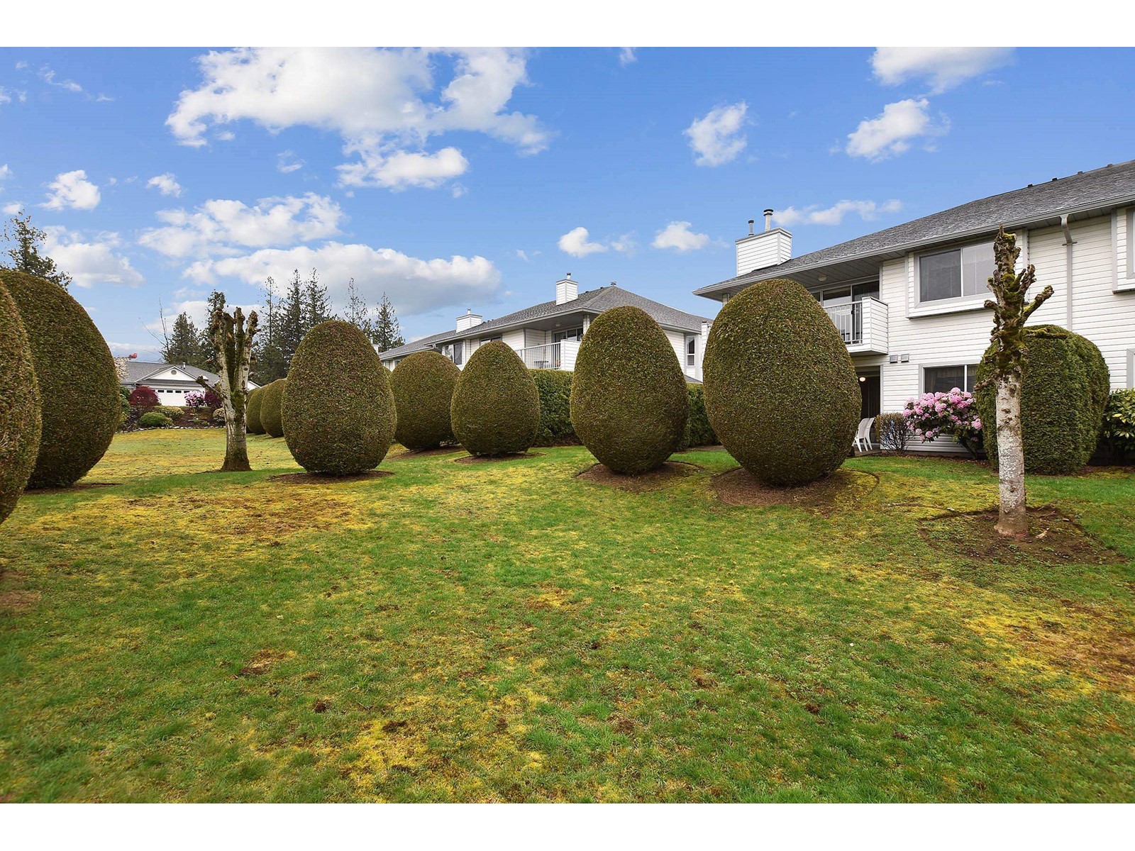 30 33922 KING                                   V2S 7N1 ROAD, Abbotsford real estate listing R2988257