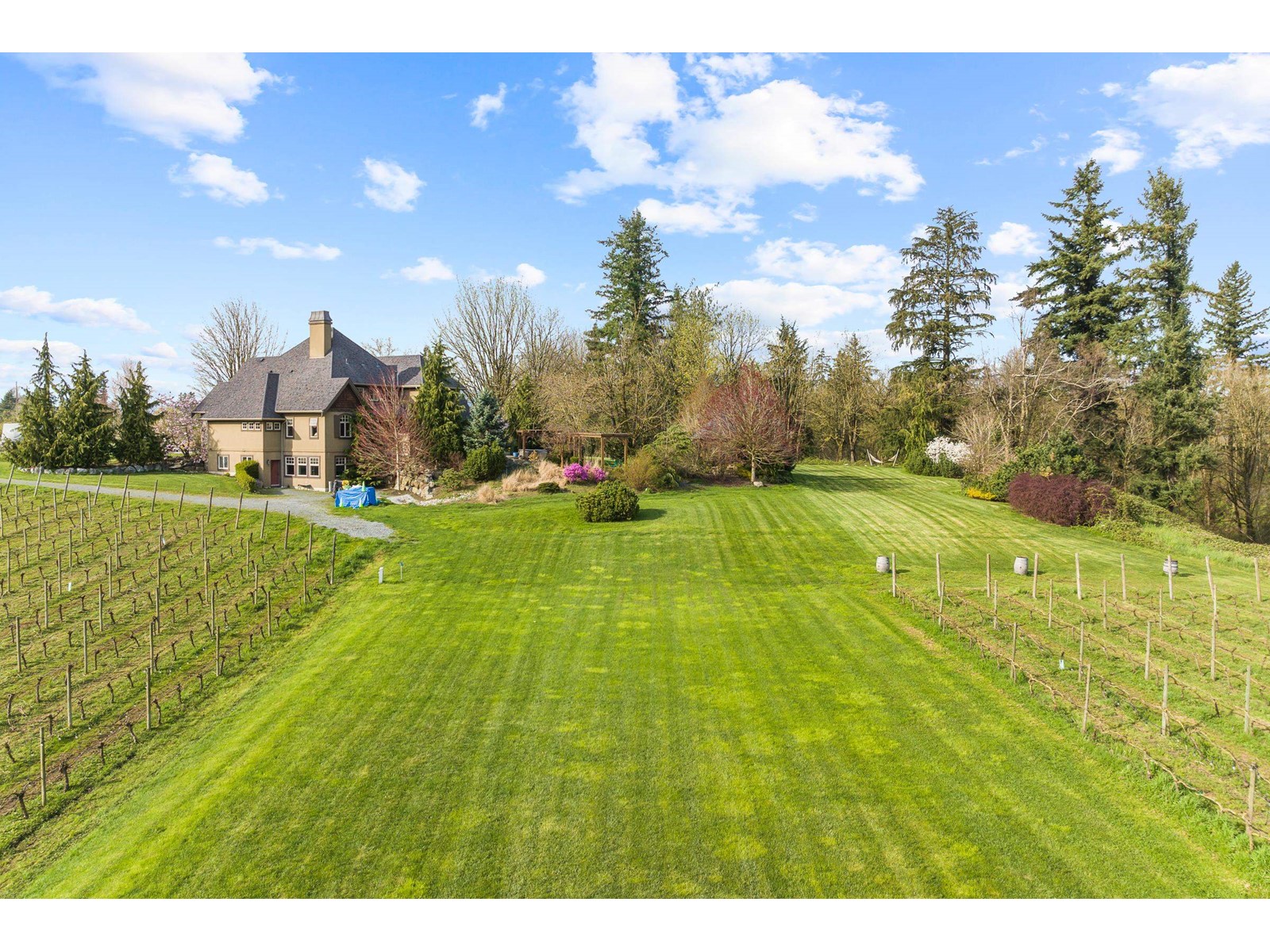 5782 MT LEHMAN ROAD, Abbotsford