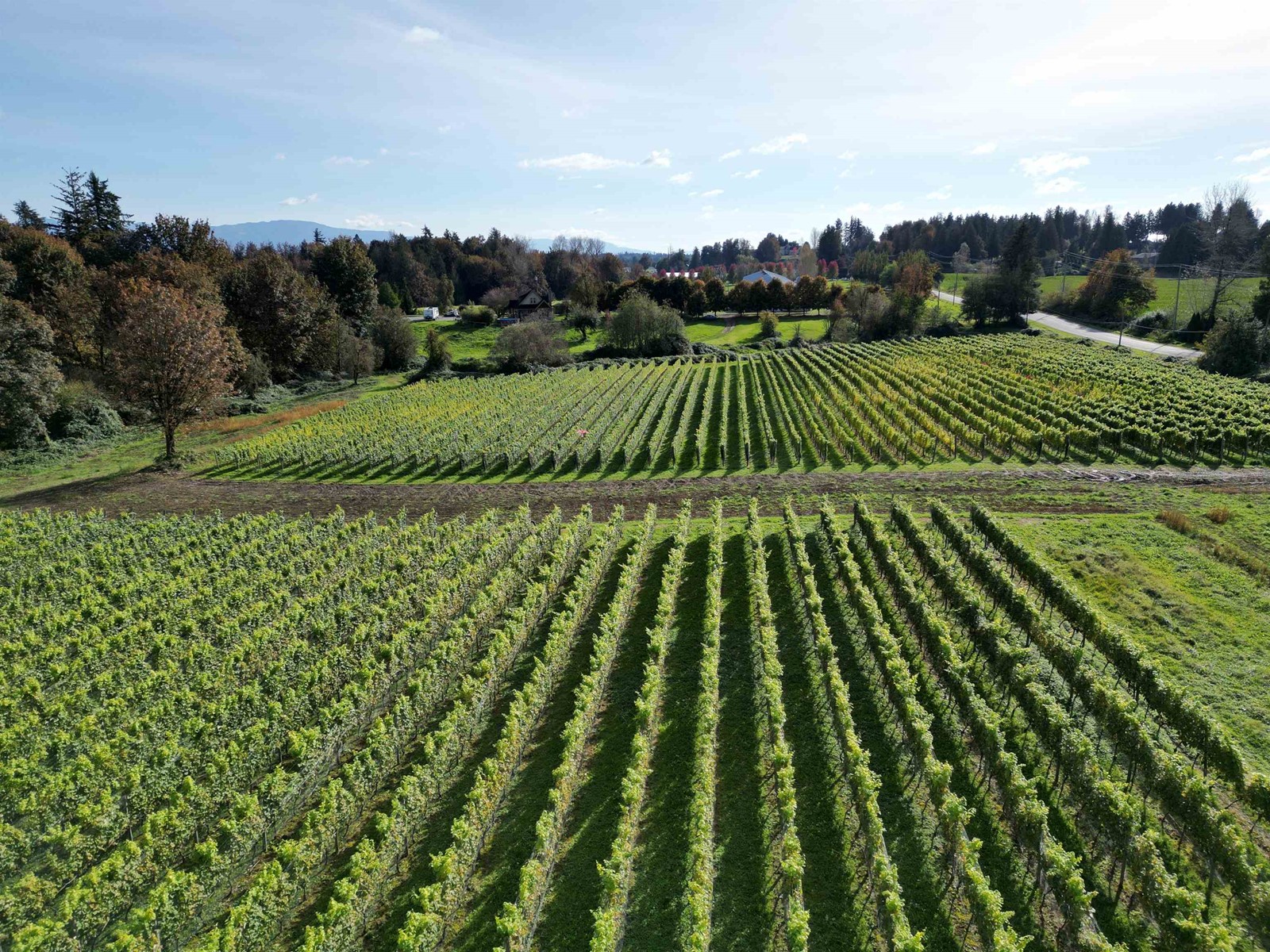 5782 MT LEHMAN ROAD, Abbotsford