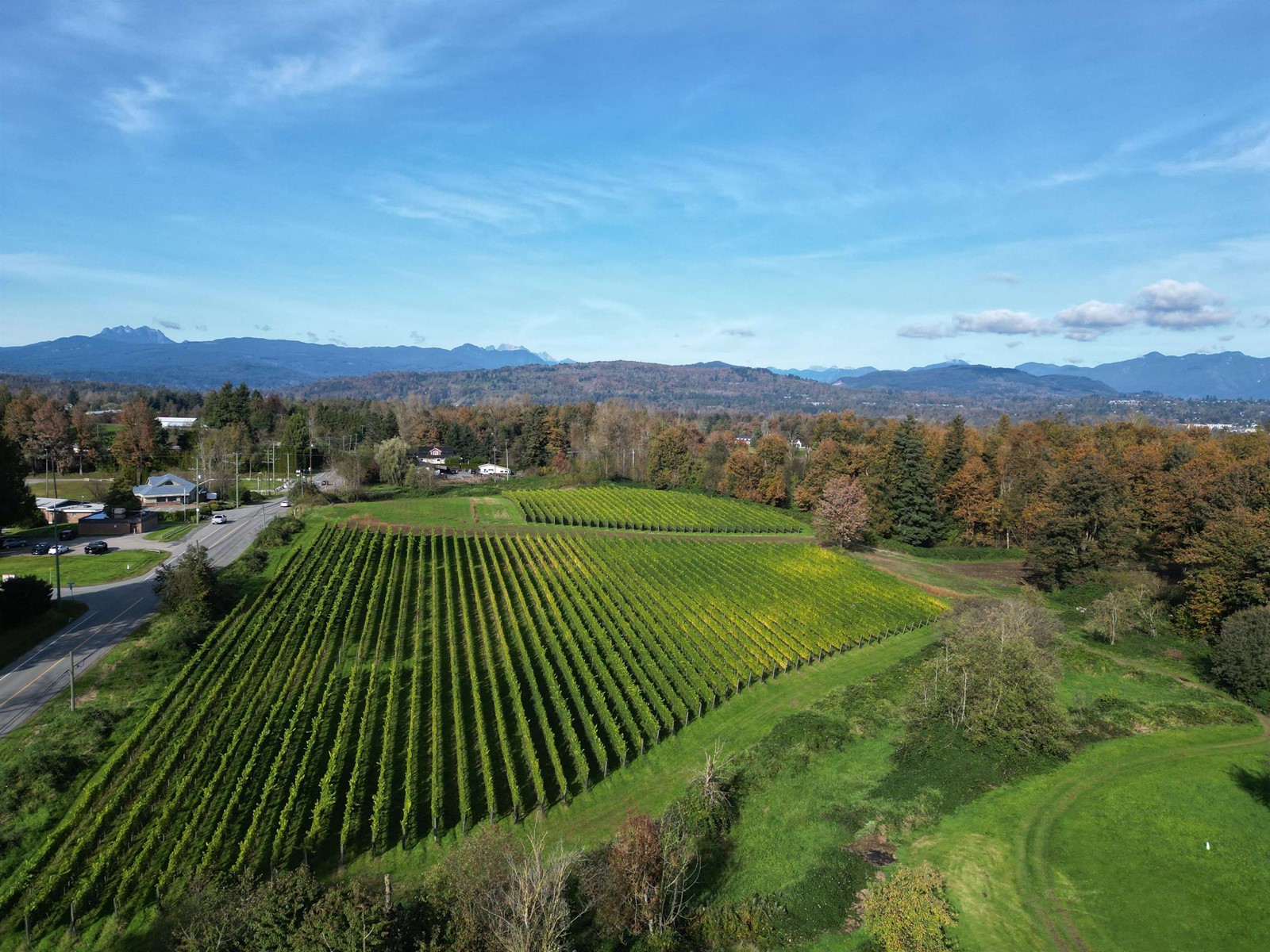 5782 MT LEHMAN ROAD, Abbotsford