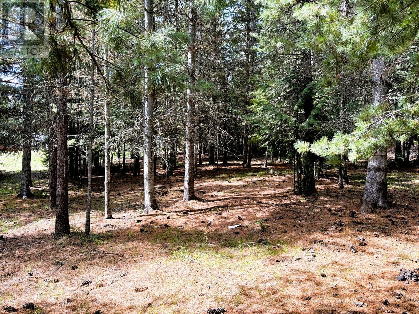 1425 Bobbie Burns Road, Lumby