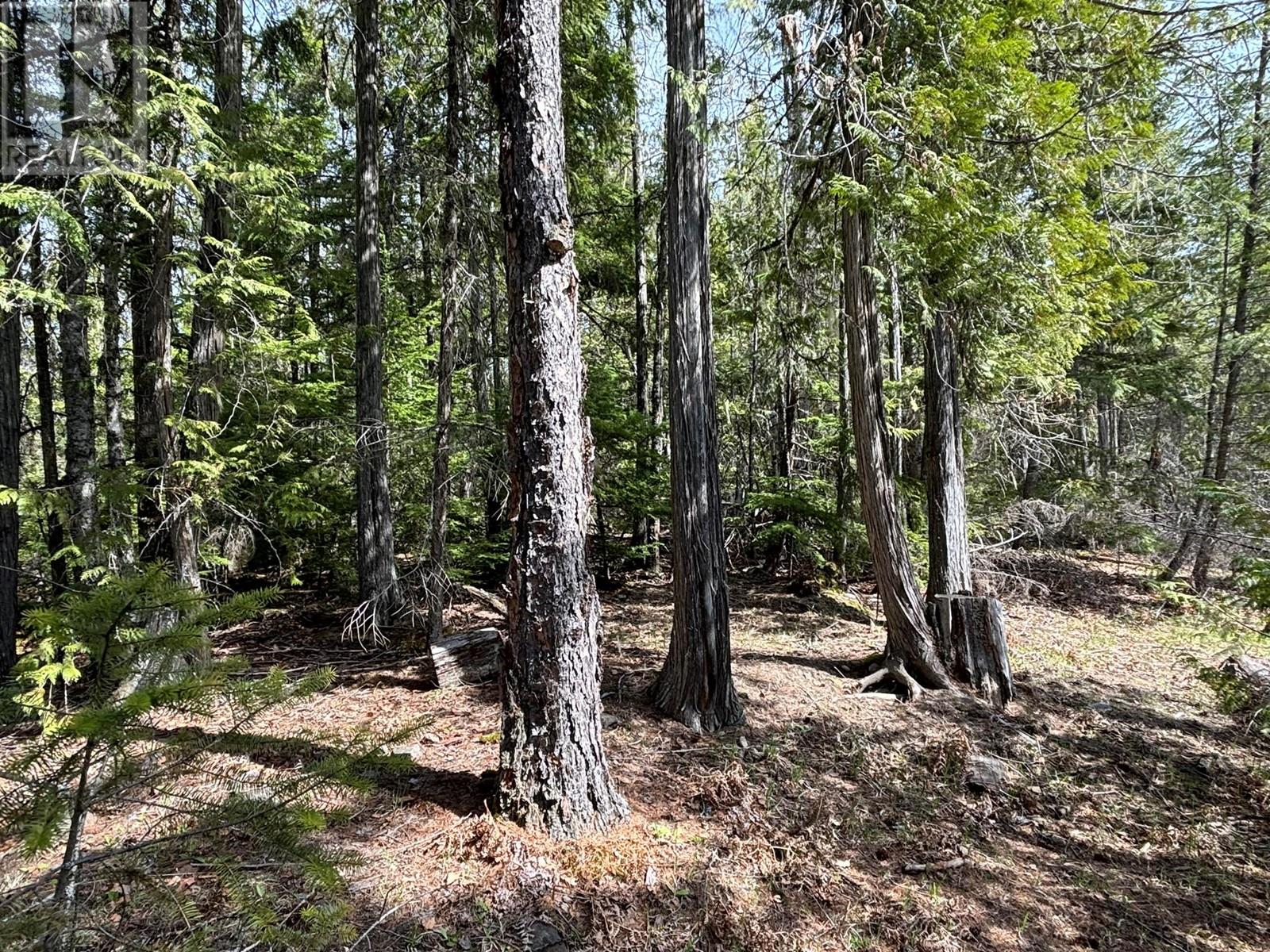 1425 Bobbie Burns Road, Lumby