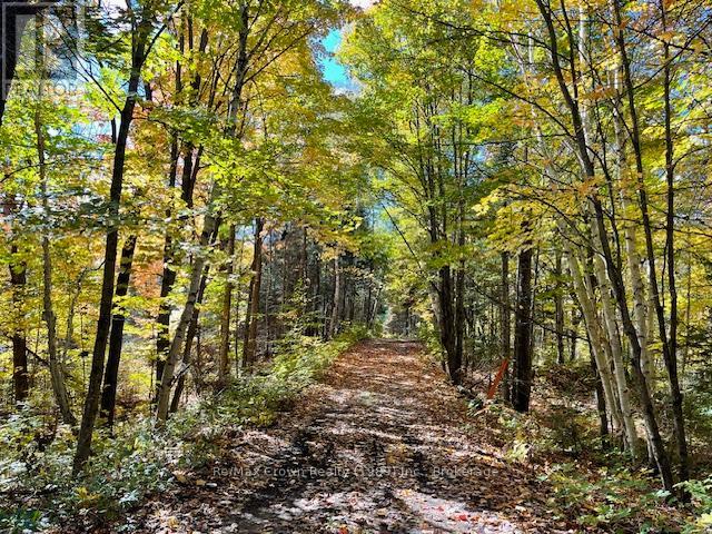 Photo 6 of 558 A Old Nipissing Road, Parry Sound Remote Area ON
