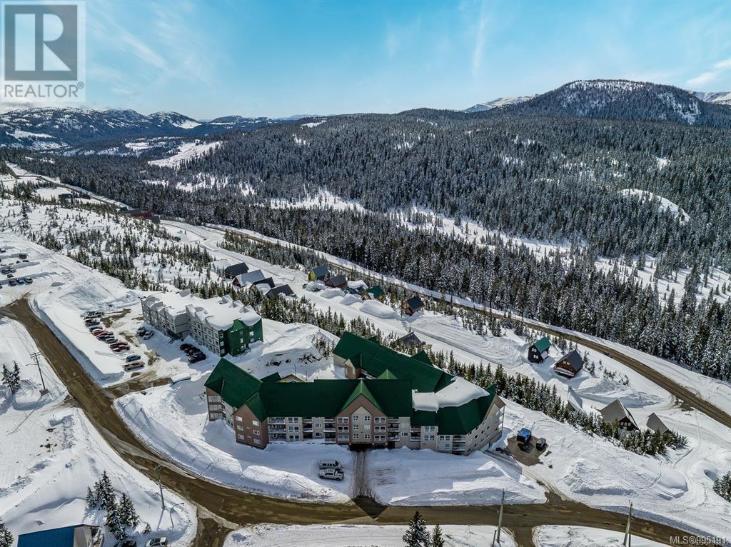 1201 Henry Rd, Courtenay - Exteriors - Full Complex View, Drone/Aerial View - Photo 5