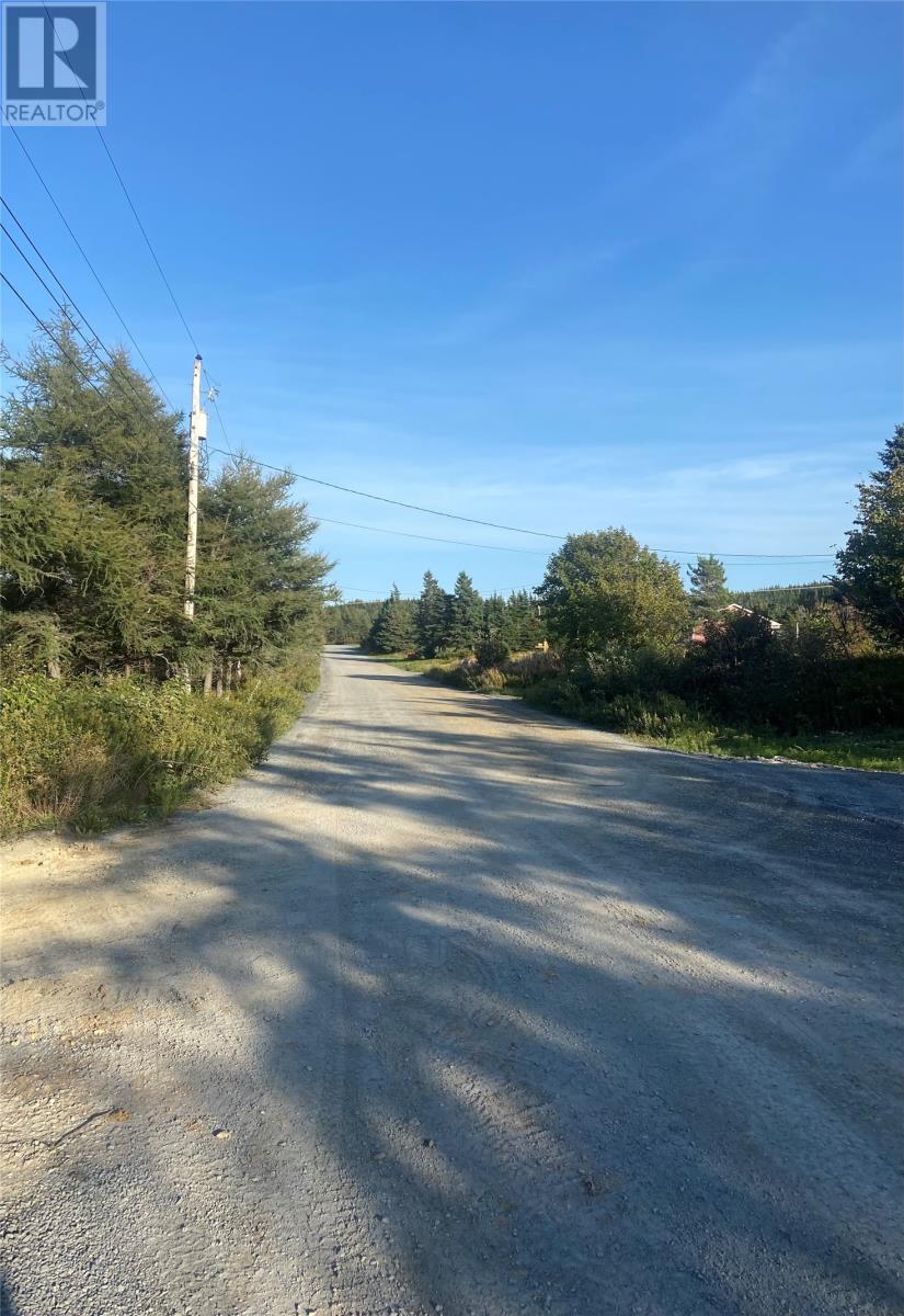 Photo 1 of 452 Swansea Road, Victoria NL