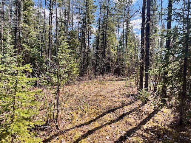 LOT 4 POLLARD ROAD, Quesnel