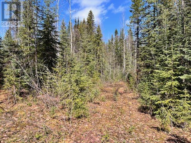 LOT 4 POLLARD ROAD, Quesnel