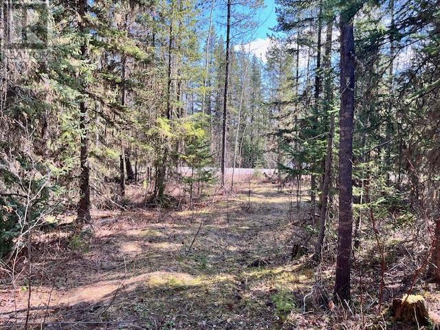 LOT 4 POLLARD ROAD, Quesnel