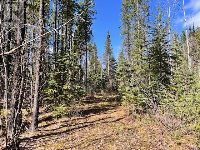 LOT 4 POLLARD ROAD, Quesnel
