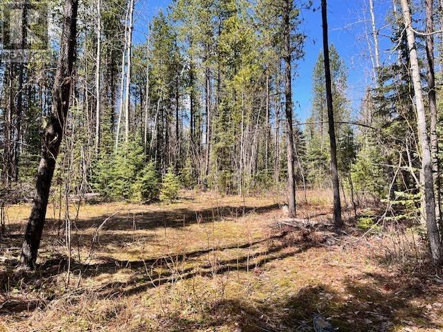 LOT 4 POLLARD ROAD, Quesnel