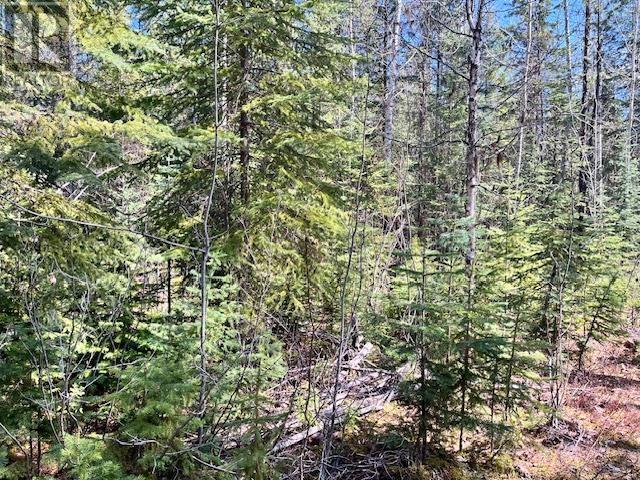 LOT 4 POLLARD ROAD, Quesnel