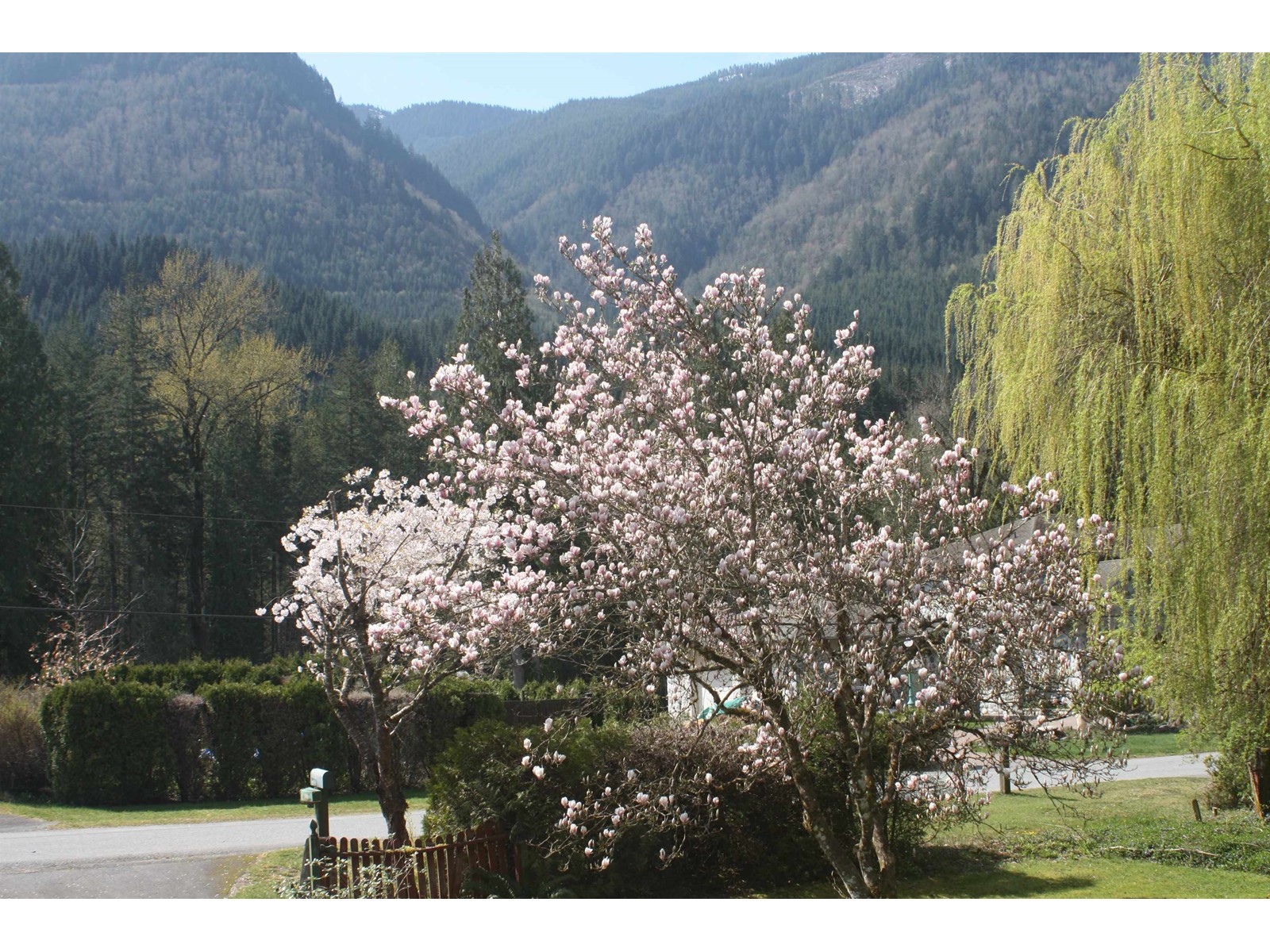 49265 BELL ACRES ROAD, Chilliwack River Valley, Chilliwack real estate listing R2964303