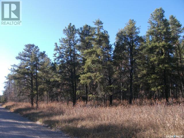 Regional Park Lot 1-3 - Photo 4 of 14, Hudson Bay Rm No. 394, Saskatchewan