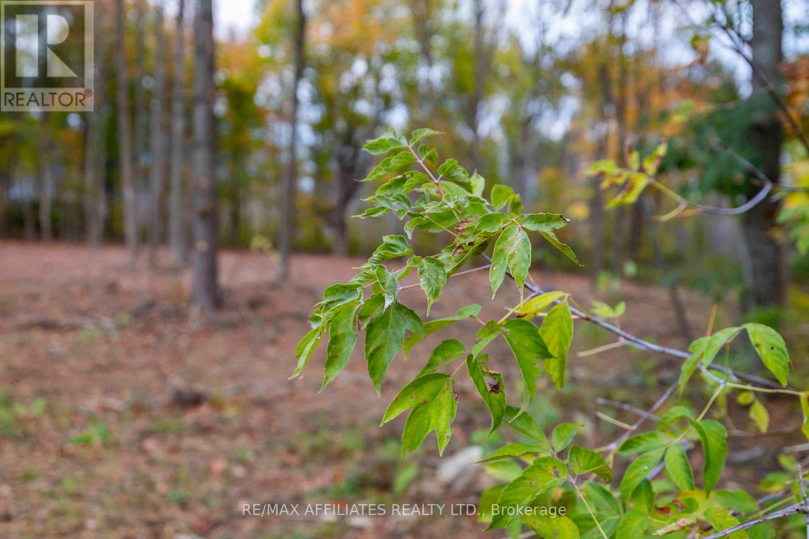 Photo 1 of 420 Butler Farm Road, North Grenville ON