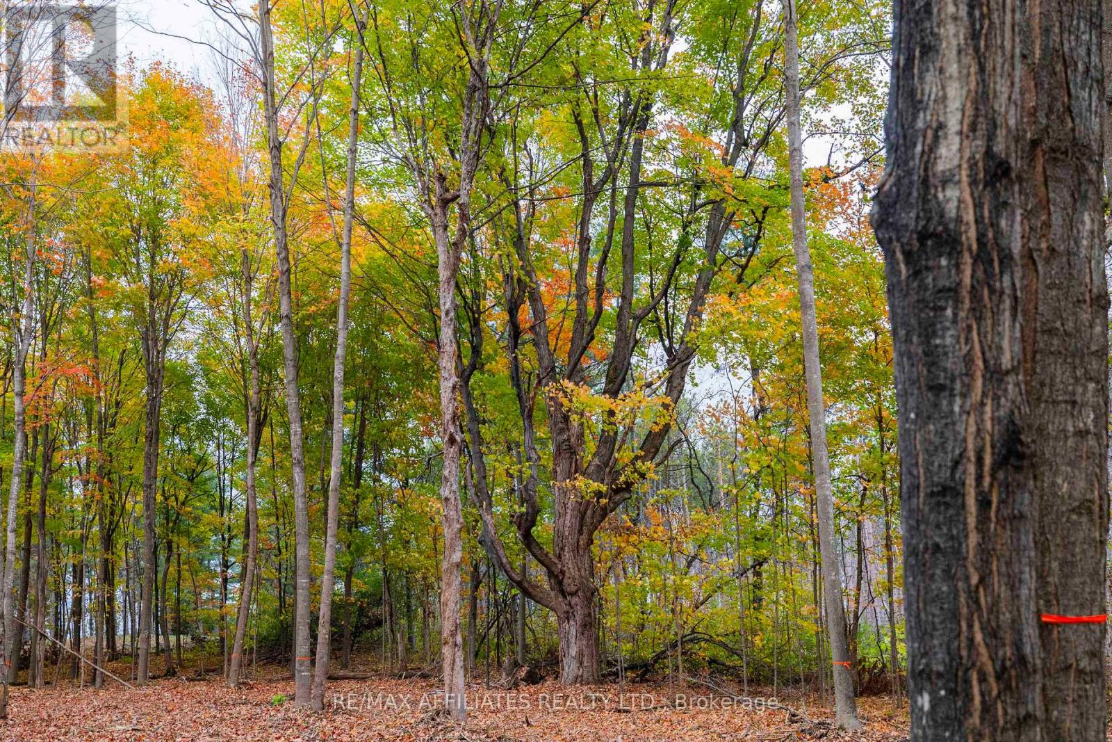 Photo 5 of 420 Butler Farm Road, North Grenville ON