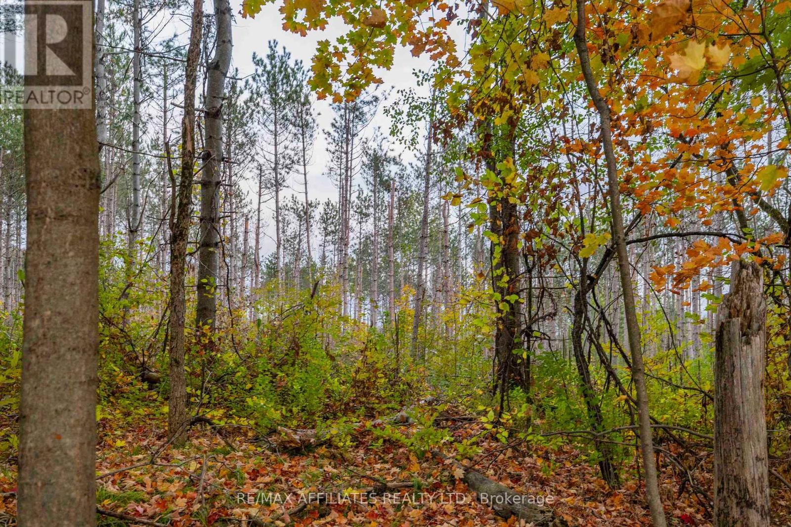 Photo 19 of 420 Butler Farm Road, North Grenville ON